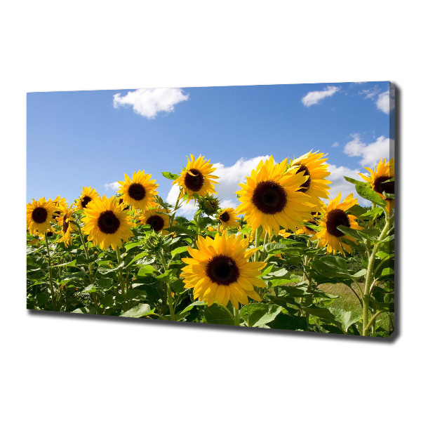 Quadro su tela Girasoli