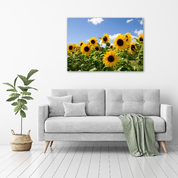 Quadro su tela Girasoli