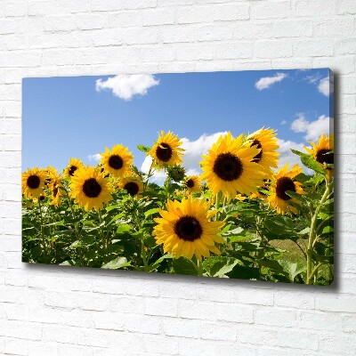Quadro su tela Girasoli