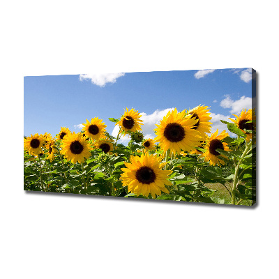 Quadro su tela Girasoli