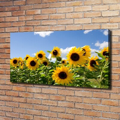 Quadro su tela Girasoli