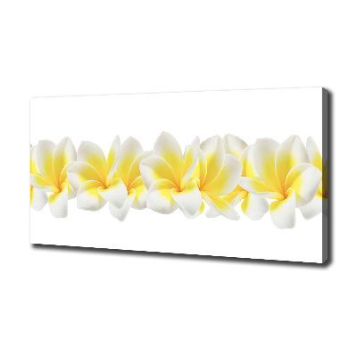 Foto quadro su tela Plumeria