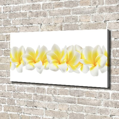 Foto quadro su tela Plumeria
