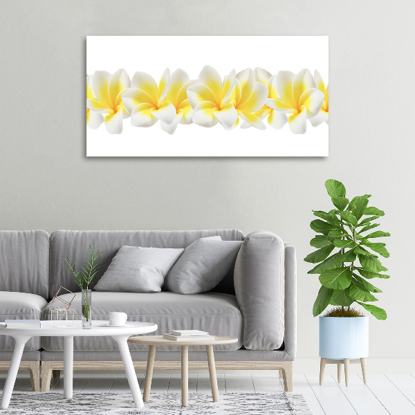 Foto quadro su tela Plumeria