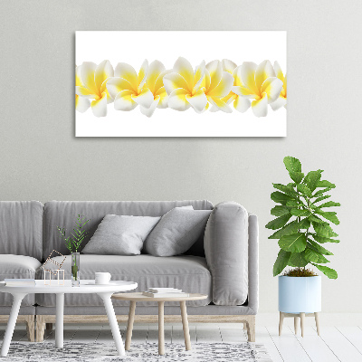 Foto quadro su tela Plumeria
