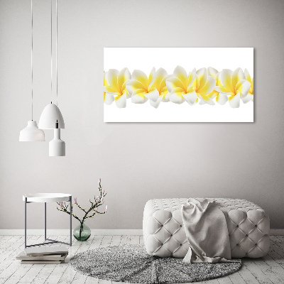 Foto quadro su tela Plumeria