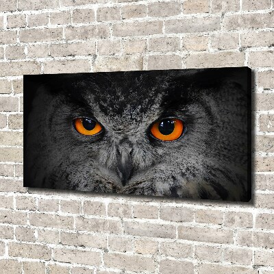 Quadro stampa su tela Occhi di gufo diabolici