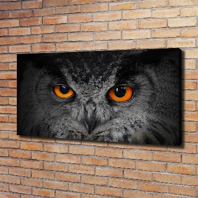 Quadro stampa su tela Occhi di gufo diabolici