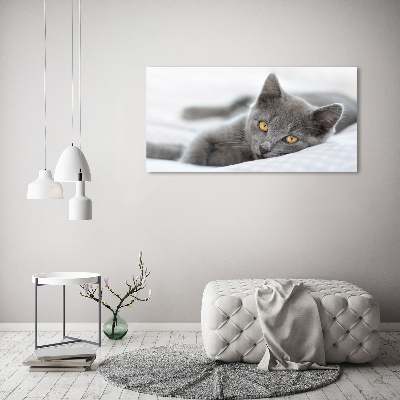 Quadro su tela Gatto grigio