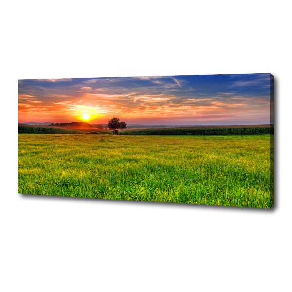 Foto quadro su tela Prato del tramonto