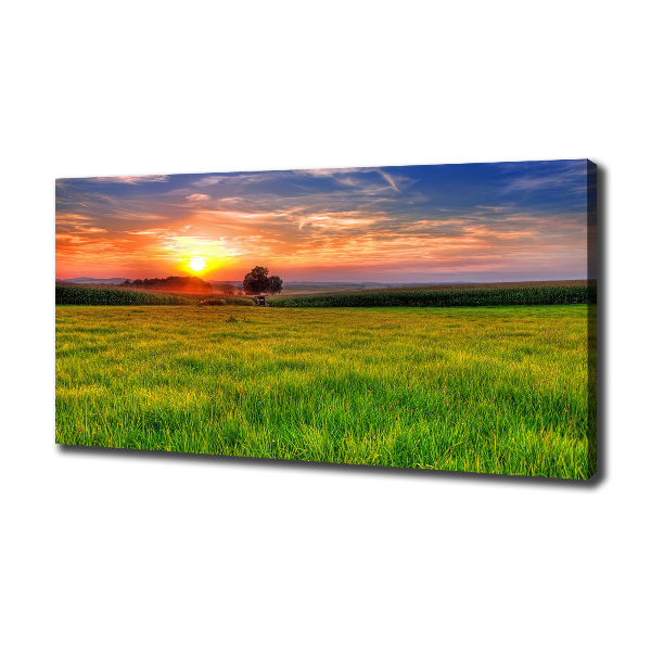 Foto quadro su tela Prato del tramonto