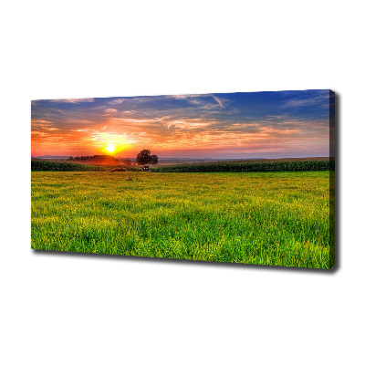 Foto quadro su tela Prato del tramonto