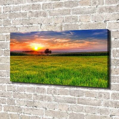 Foto quadro su tela Prato del tramonto