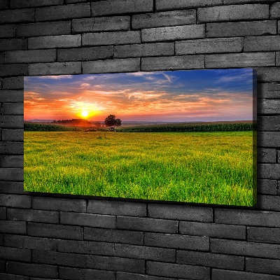Foto quadro su tela Prato del tramonto