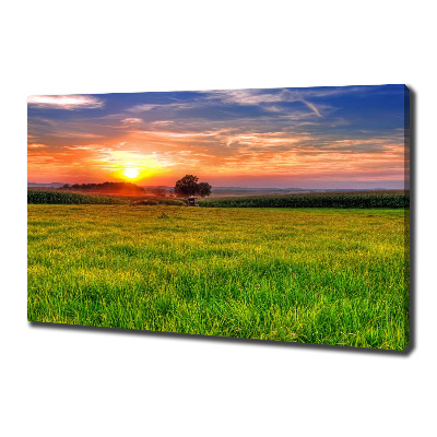 Foto quadro su tela Prato del tramonto