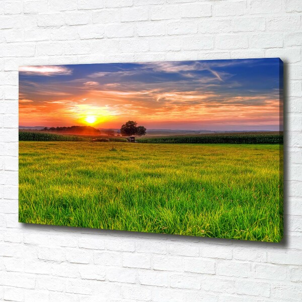 Foto quadro su tela Prato del tramonto