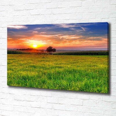 Foto quadro su tela Prato del tramonto