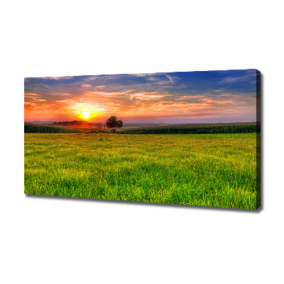 Foto quadro su tela Prato del tramonto