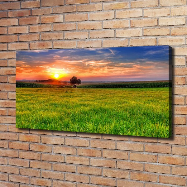 Foto quadro su tela Prato del tramonto