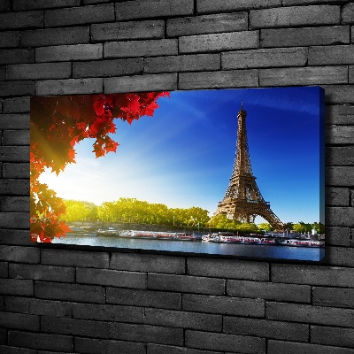 Quadro su tela Torre Eiffel Parigi