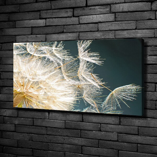 Quadro stampa su tela Semi di tarassaco