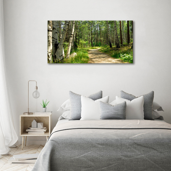 Foto quadro su tela Sentiero nella foresta