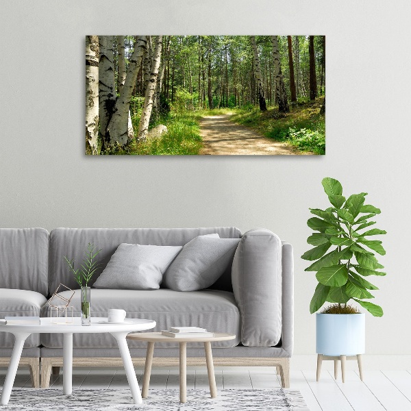 Foto quadro su tela Sentiero nella foresta
