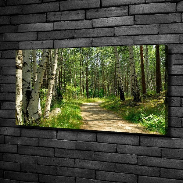 Foto quadro su tela Sentiero nella foresta