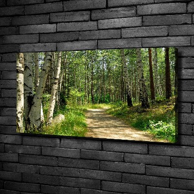 Foto quadro su tela Sentiero nella foresta