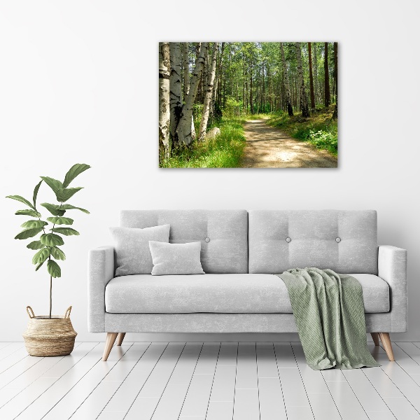 Foto quadro su tela Sentiero nella foresta