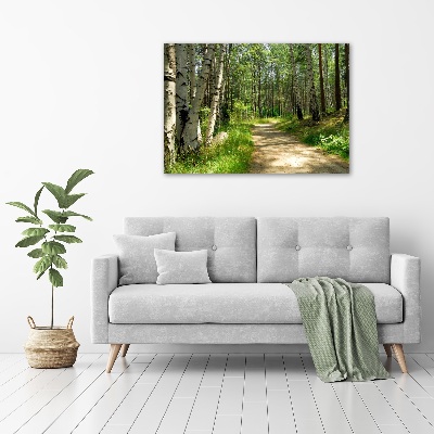 Foto quadro su tela Sentiero nella foresta