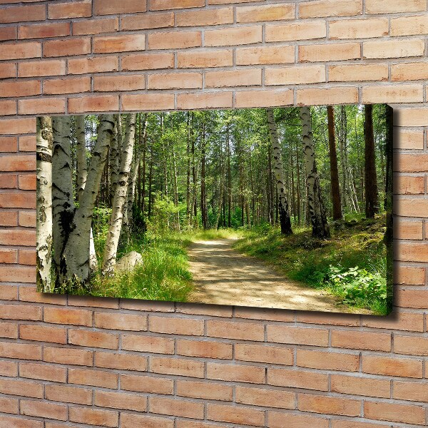 Foto quadro su tela Sentiero nella foresta