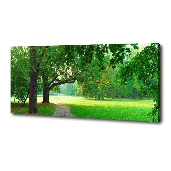 Foto quadro su tela Parco in autunno