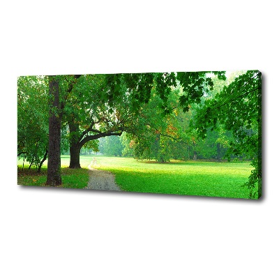 Foto quadro su tela Parco in autunno