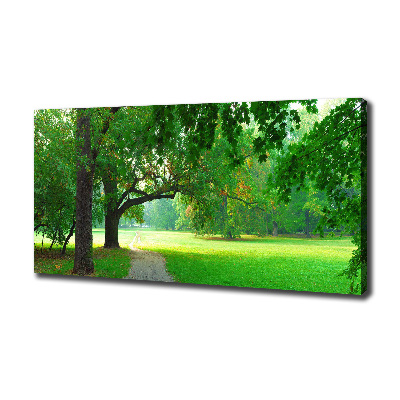 Foto quadro su tela Parco in autunno