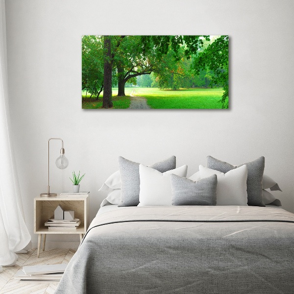 Foto quadro su tela Parco in autunno