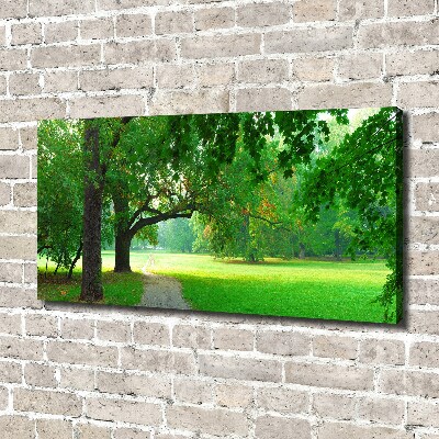 Foto quadro su tela Parco in autunno