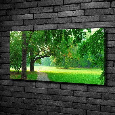 Foto quadro su tela Parco in autunno