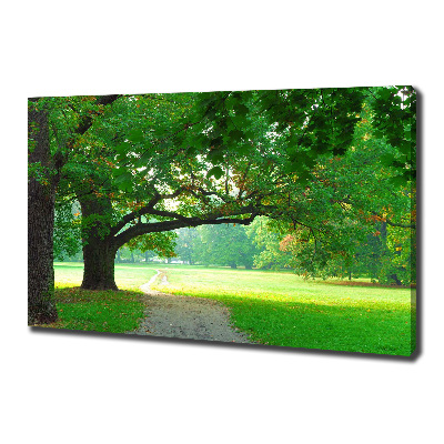 Foto quadro su tela Parco in autunno