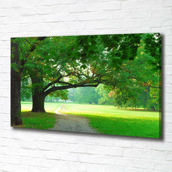 Foto quadro su tela Parco in autunno