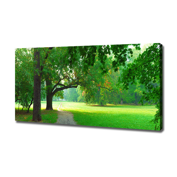 Foto quadro su tela Parco in autunno