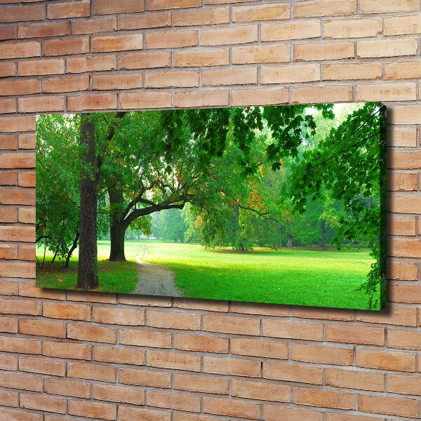 Foto quadro su tela Parco in autunno