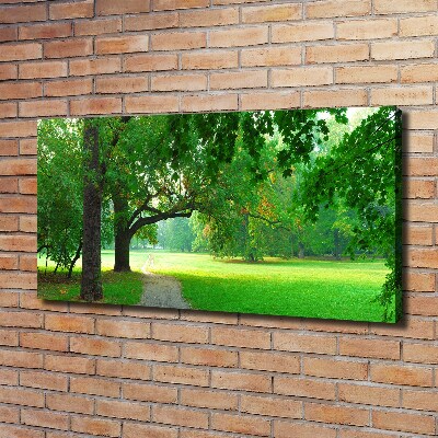 Foto quadro su tela Parco in autunno