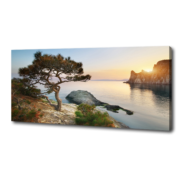 Quadro stampa su tela Un albero in riva al mare