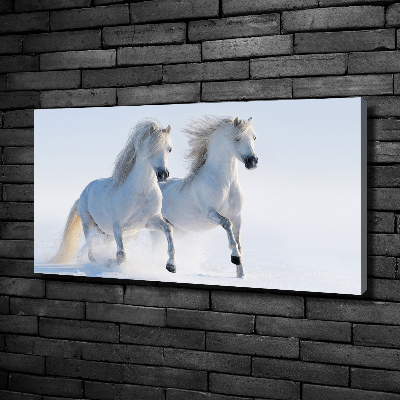 Foto quadro su tela Due cavalli nella neve