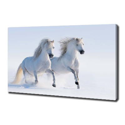 Foto quadro su tela Due cavalli nella neve