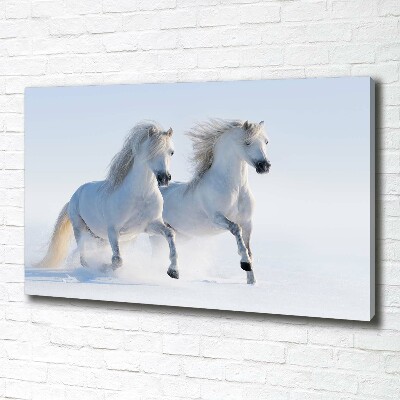 Foto quadro su tela Due cavalli nella neve