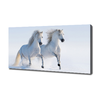 Foto quadro su tela Due cavalli nella neve