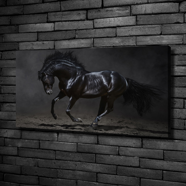 Quadro stampa su tela Cavallo oscuro