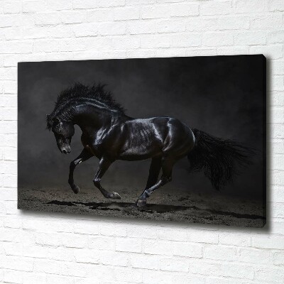 Quadro stampa su tela Cavallo oscuro